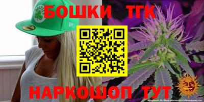 крисы Новозыбков