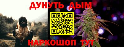 крисы Новозыбков