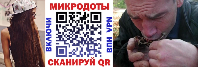 Псилоцибиновые грибы Cubensis  хочу   Нурлат 