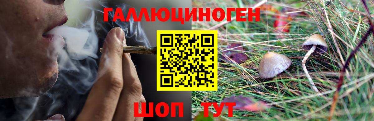 Псилоцибиновые грибы ЛСД Нурлат