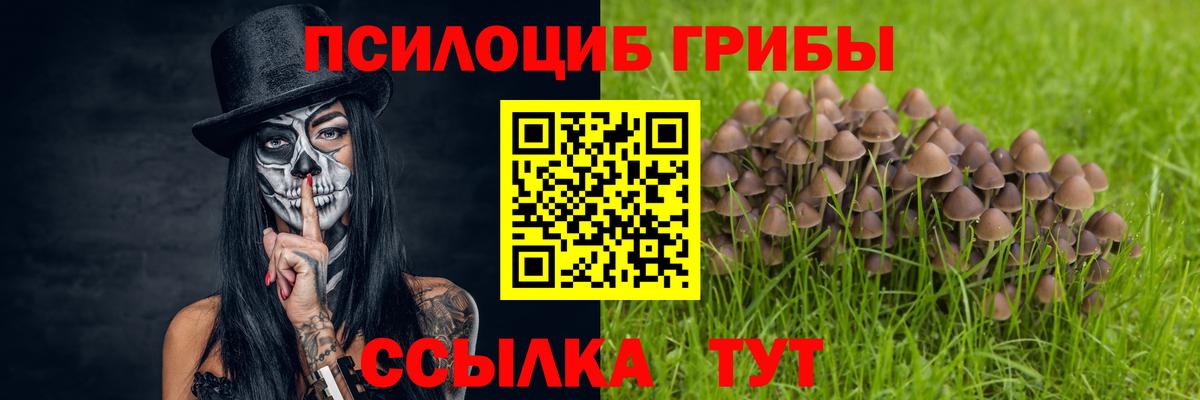Нурлат  Галлюциногенные грибы прущие грибы  Вход с VPN 